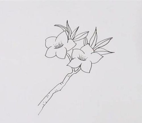 彩色樱花简笔画怎么画 简单漂亮樱花简笔分步骤图解