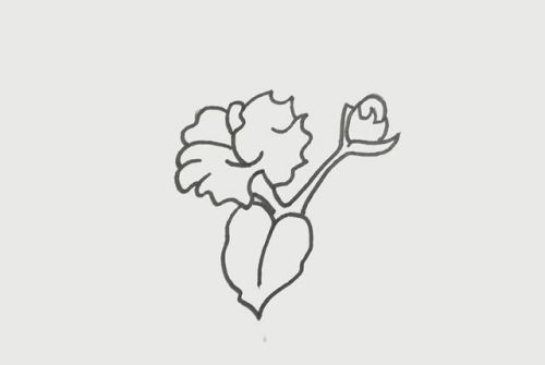 彩色漂亮花朵简笔画绘画教程 可爱花朵简笔画怎么画