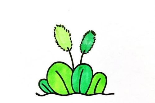 狗尾草简笔画绘画步骤 简单漂亮狗尾草简笔画怎么画