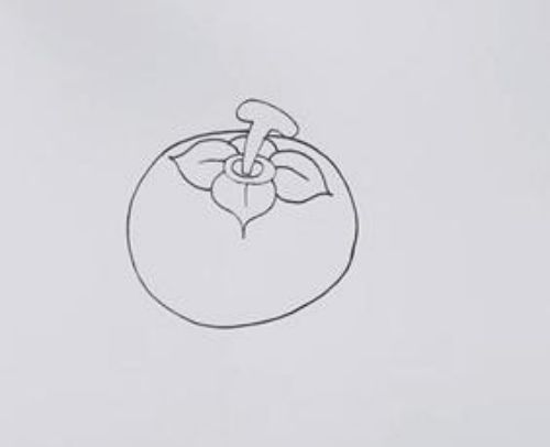 柿子简笔画简单画法 彩色柿子简笔画怎么画