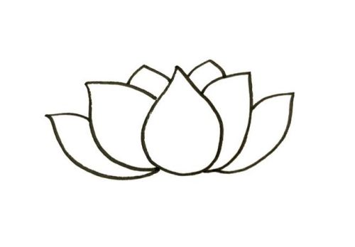 简单又好看莲花简笔画怎么画 带颜色莲花简笔画步骤