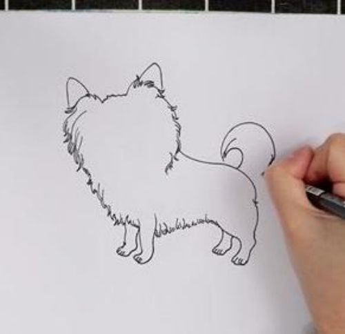带颜色蝴蝶犬怎么画 彩色可爱蝴蝶犬简笔画绘画教程-素描自学网 带颜色蝴蝶犬怎么画 彩色可爱蝴蝶犬简笔画绘画教程