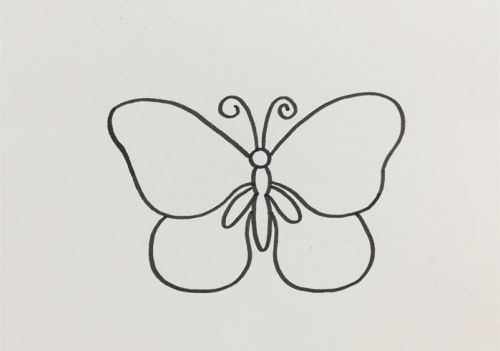 漂亮蝴蝶简笔画怎么画 又好看又简单蝴蝶简笔画带颜色画法