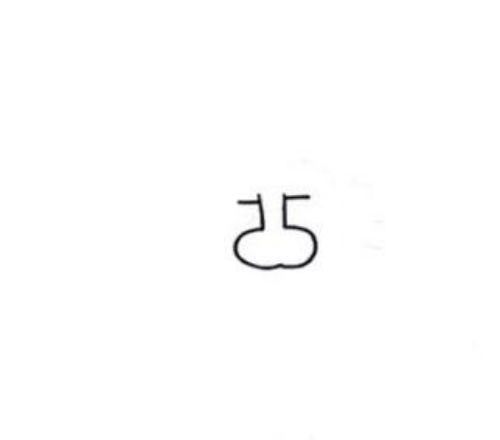 可爱狮子彩色简笔画怎么画 凶猛霸气狮子简笔画教程