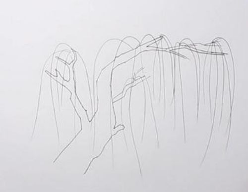 春天柳树简笔画怎么画 柳树简笔画图片彩色画法
