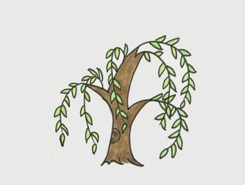 简单柳树简笔画怎么画 春天柳树简画笔教程步骤图