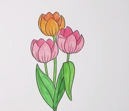 彩色郁金香简笔画绘画步骤 手绘郁金香简笔画怎么画