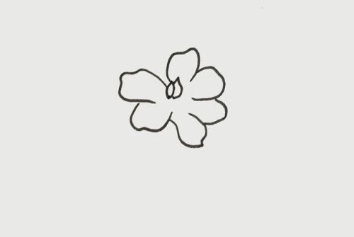 彩色栀子花简笔画怎么画 手绘栀子花简笔画步骤
