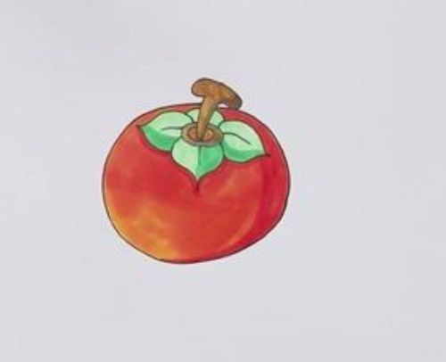 柿子简笔画简单画法 彩色柿子简笔画怎么画