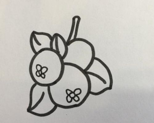 枇杷果简笔画教程 简单好看枇杷果简笔画怎么画