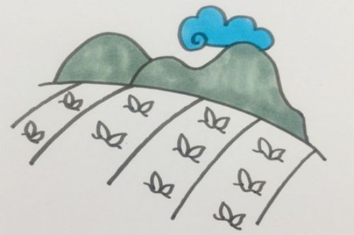 家乡的田野简笔画怎么画 彩色田野简笔画教程画法