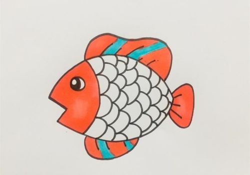 带颜色小鱼简笔画怎么画 简单又可爱小鱼简笔画画法步骤