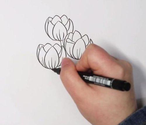 彩色郁金香简笔画绘画步骤 手绘郁金香简笔画怎么画