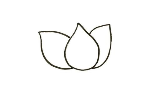 简单又好看莲花简笔画怎么画 带颜色莲花简笔画步骤