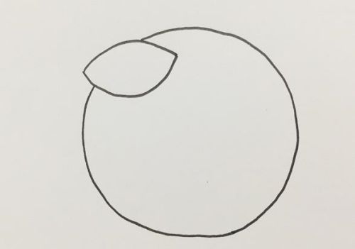 可爱橘子简笔画绘画步骤  彩色橘子简笔画怎么画