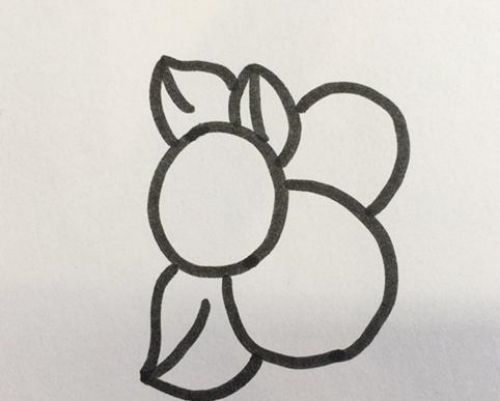 枇杷果简笔画教程 简单好看枇杷果简笔画怎么画