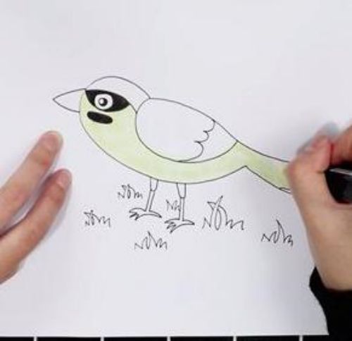 可爱麻雀怎么画 简单彩色麻雀简笔画教程