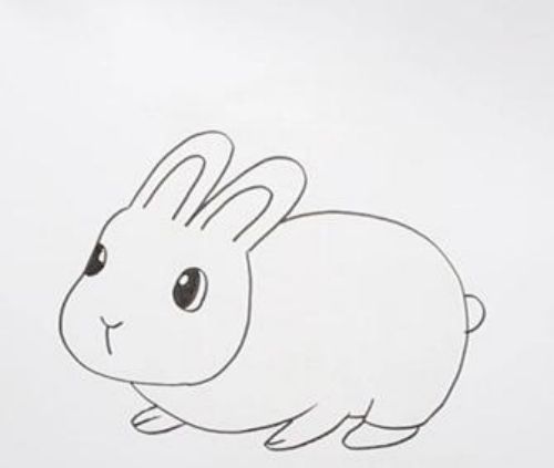 兔子简笔画好看简单 兔子简笔画彩色画法教程