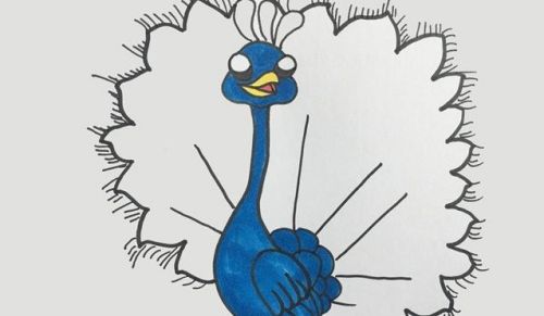 彩色孔雀简笔画儿童画步骤 简单又漂亮孔雀简笔画怎么画