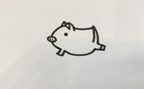 可爱小猪简笔画怎么画 简单呆萌小猪简笔画教程