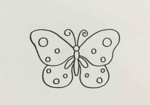 漂亮蝴蝶简笔画怎么画 又好看又简单蝴蝶简笔画带颜色画法