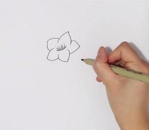 彩色樱花简笔画怎么画 简单漂亮樱花简笔分步骤图解
