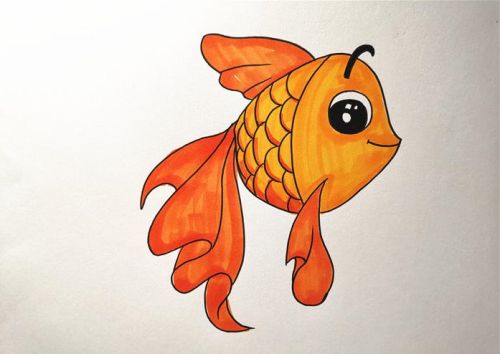 简单彩色金鱼简笔画教程 金鱼简笔画儿童画怎么画