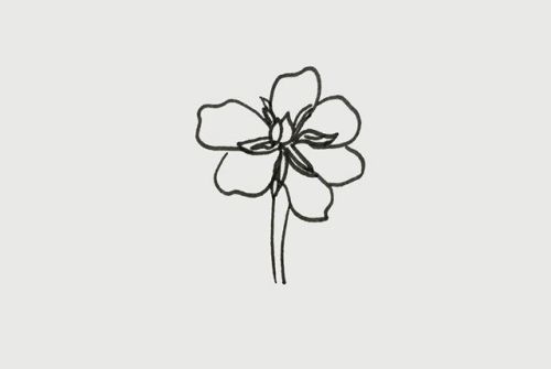 彩色栀子花简笔画怎么画 手绘栀子花简笔画步骤