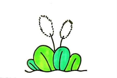 狗尾草简笔画绘画步骤 简单漂亮狗尾草简笔画怎么画