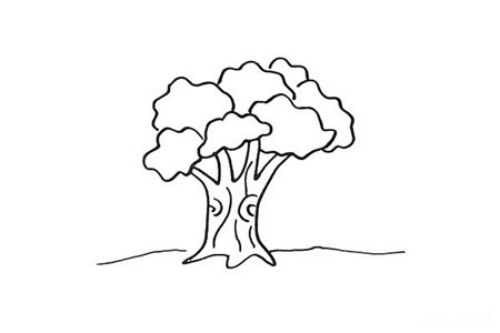 简单又漂亮大树简笔画怎么画 带颜色大树简笔画教学
