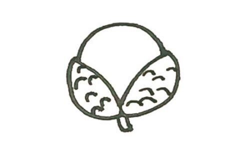 彩色可爱荔枝简笔画教学画法 简单又漂亮荔枝简笔画怎么画
