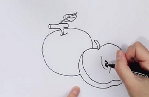 简单上色苹果简笔画画法 涂色苹果简笔画怎么画