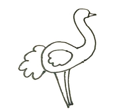 彩色可爱鸵鸟简笔画怎么画 简单漂亮鸵鸟简笔画步骤