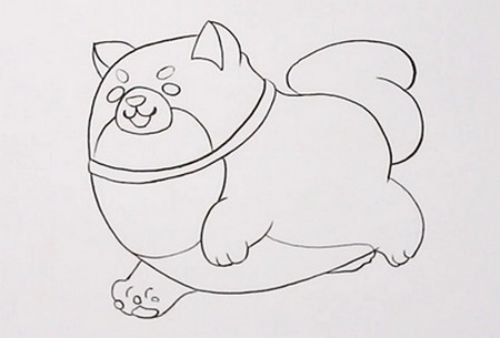 真实q版秋田犬简笔画怎么画 彩色秋田犬简笔画步骤教学