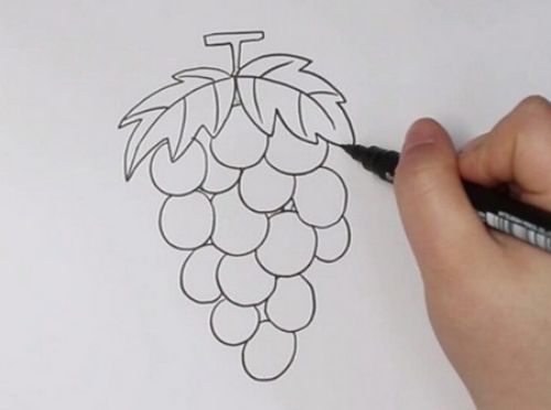 可爱彩色葡萄简笔画怎么画 带颜色葡萄简笔画教学图解