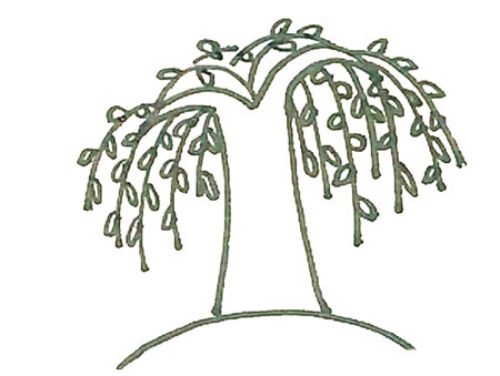 彩色手绘柳树简笔画怎么画 简单又好看柳树简笔画画法步骤