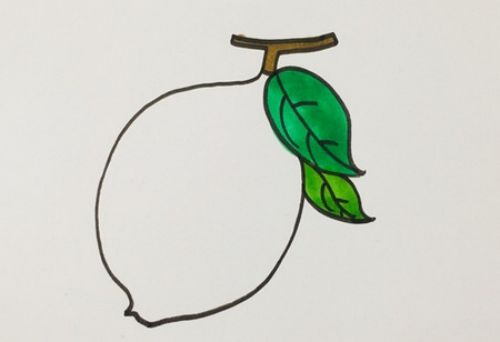 彩色柠檬简笔画图解画法 可爱卡通柠檬简笔画怎么画-素描自学网 彩色柠檬简笔画图解画法 可爱卡通柠檬简笔画怎么画