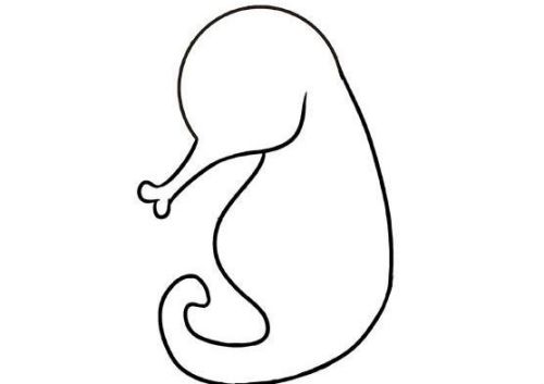 可爱带颜色海马简笔画教程 卡通海马简笔画怎么画