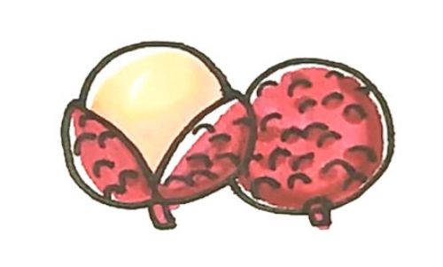彩色可爱荔枝简笔画教学画法 简单又漂亮荔枝简笔画怎么画