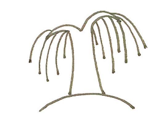 彩色手绘柳树简笔画怎么画 简单又好看柳树简笔画画法步骤