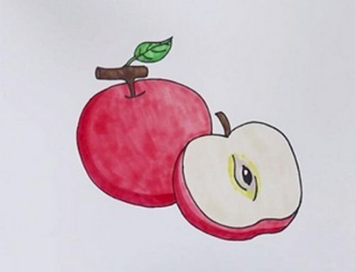 简单上色苹果简笔画画法 涂色苹果简笔画怎么画