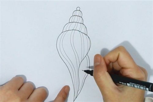 带颜色海螺简笔画图解画法 简单漂亮海螺简笔画怎么画
