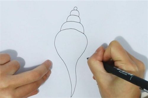 带颜色海螺简笔画图解画法 简单漂亮海螺简笔画怎么画
