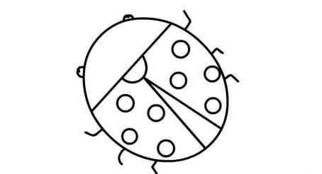 彩色七星瓢虫简笔画怎么画 简单又好看七星瓢虫简笔画步骤教程