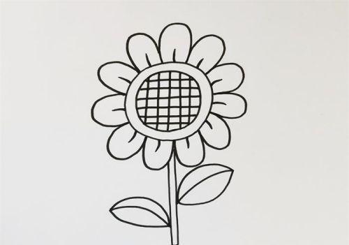 简单漂亮向日葵简笔画画法步骤  简单又好看向日葵简笔画怎么画