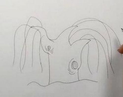 柳树简笔画图片大全 简单带颜色柳树简笔画教程步骤