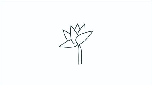 带颜色莲花简笔画图片大全 简单又好看莲花简笔画怎么画