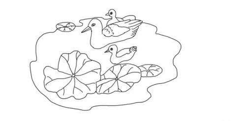 彩色鸭子简笔画教程 可爱呆萌鸭子简笔画怎么画