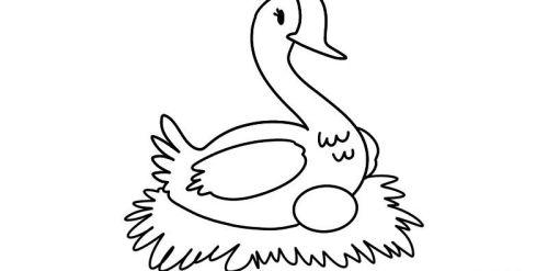 可爱彩色大白鹅简笔画怎么画 带颜色大白鹅简笔画教程