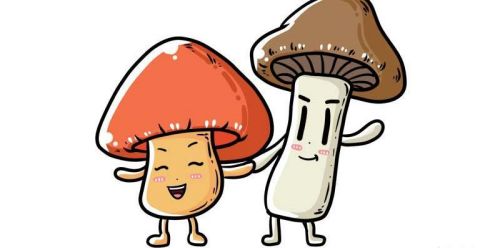 带颜色蘑菇简笔画怎么画 简单又可爱蘑菇简笔画图片大全